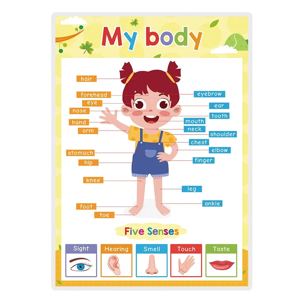 Kids Learning English Posters – A4 Educational Charts with Numbers, Letters, Fruits, Colors, Animals & Body Parts