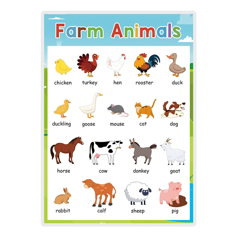 Kids Learning English Posters – A4 Educational Charts with Numbers, Letters, Fruits, Colors, Animals & Body Parts