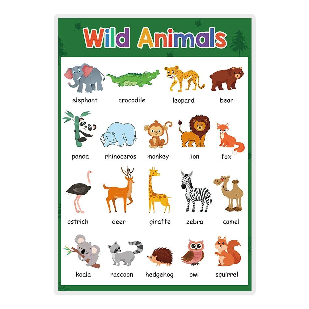 Kids Learning English Posters – A4 Educational Charts with Numbers, Letters, Fruits, Colors, Animals & Body Parts